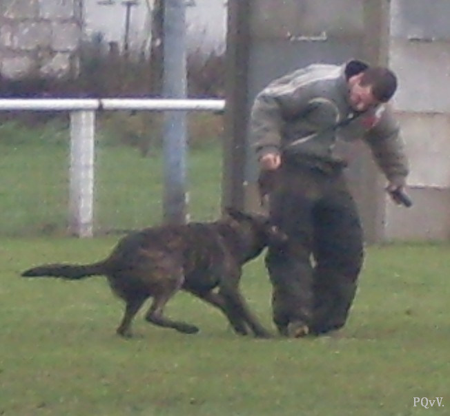  Eros des Crocs d’Olympe